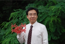 西北大學創(chuàng)新論壇第一千二百七十三講暨120周年校慶年系列活動： Unexpected slow diffusion in hierarchical porous materials with combined surface and configurational diffusion   