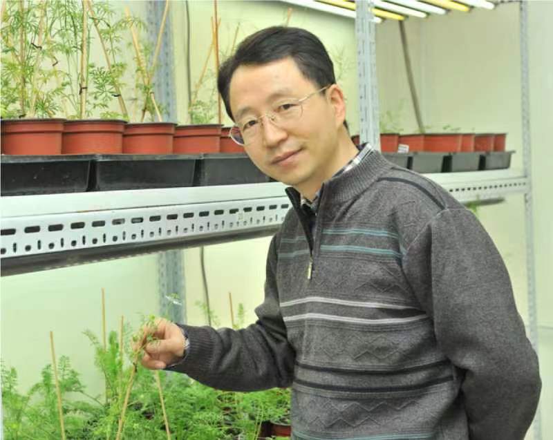 西北大學(xué)創(chuàng)新論壇第一千二百六十八講暨120周年校慶年系列活動：復(fù)雜花瓣的發(fā)育與進化